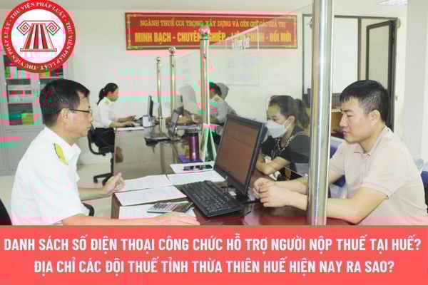 Pháp luật