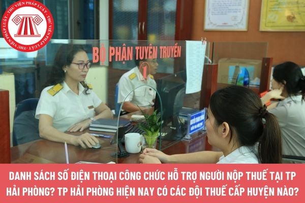 Pháp luật