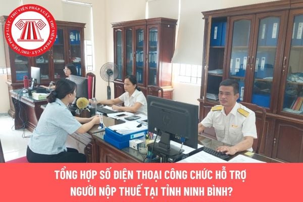 Pháp luật