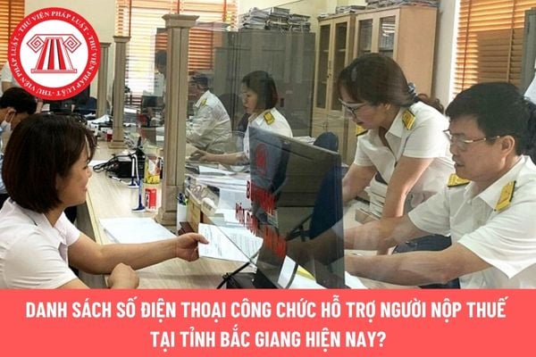 Pháp luật