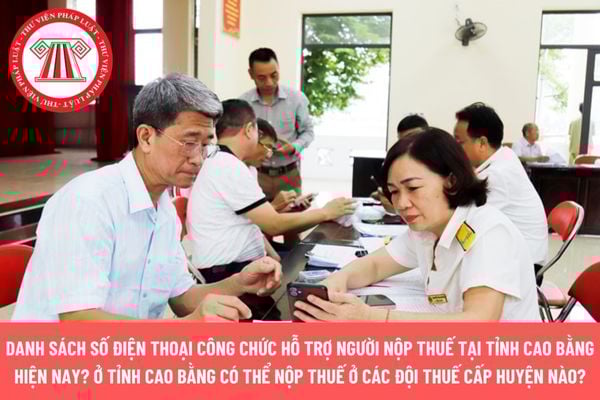 Pháp luật