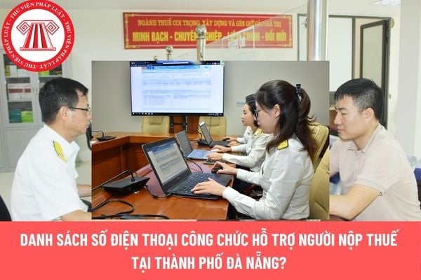 Pháp luật