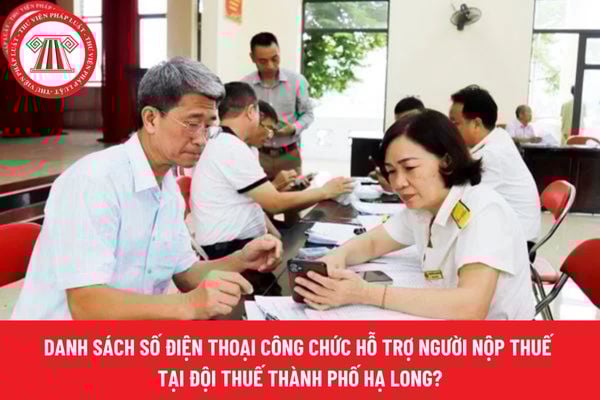 Pháp luật