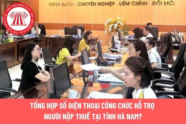 Pháp luật