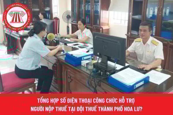 Pháp luật