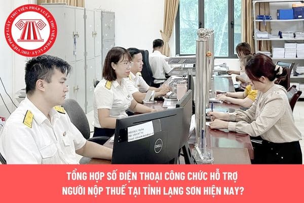 Pháp luật