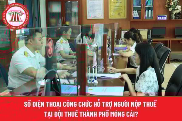 Pháp luật