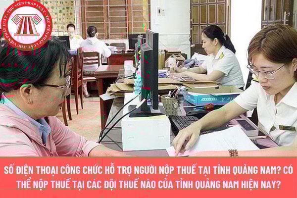Pháp luật