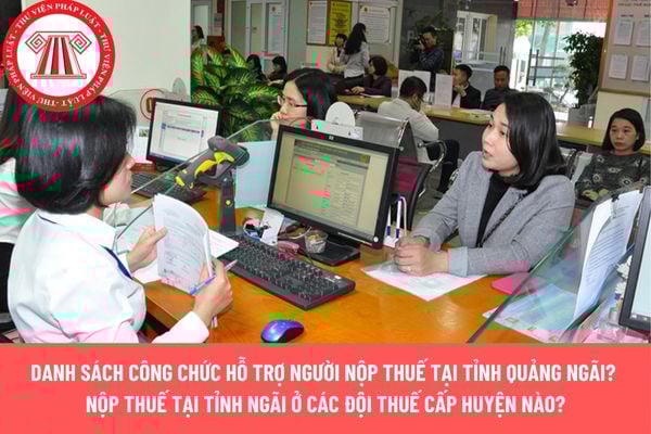 Pháp luật