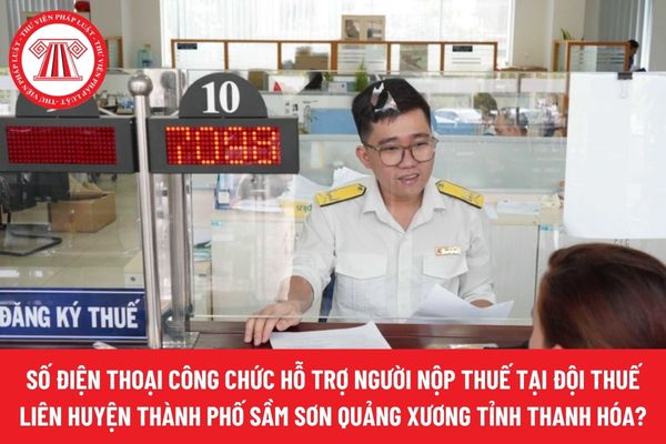 Pháp luật