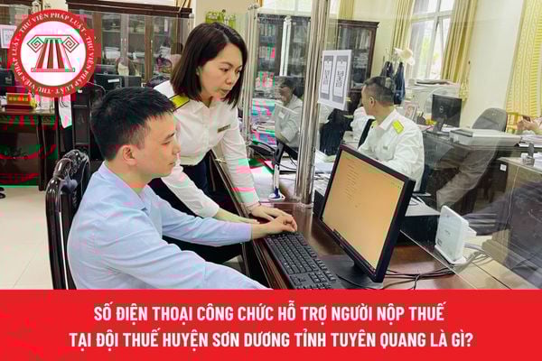 Pháp luật