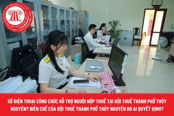 Pháp luật