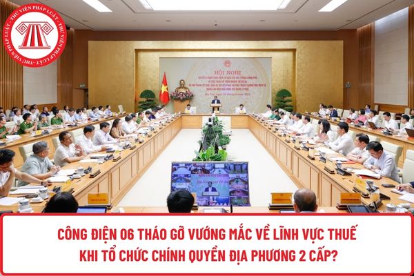 Pháp luật