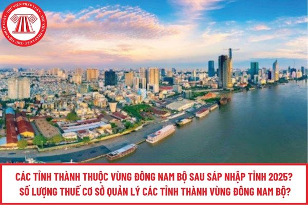 Pháp luật
