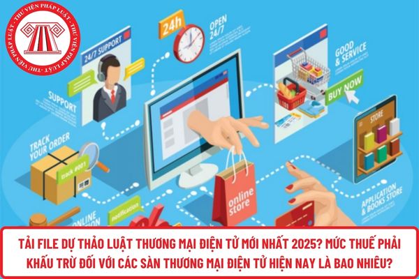 Pháp luật