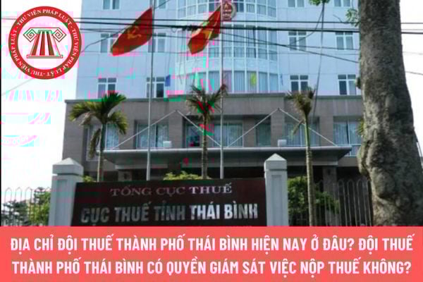 Pháp luật