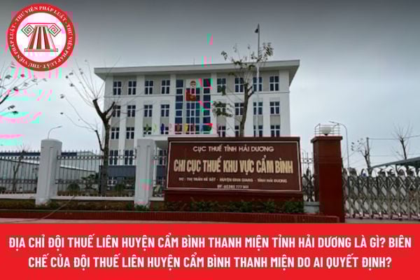 Pháp luật