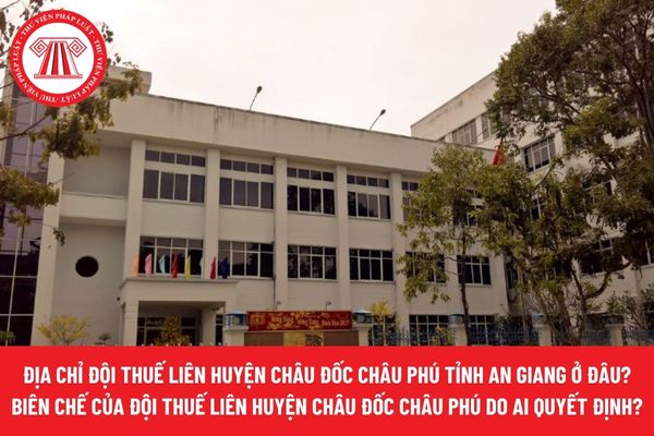 Pháp luật