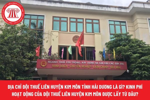 Pháp luật