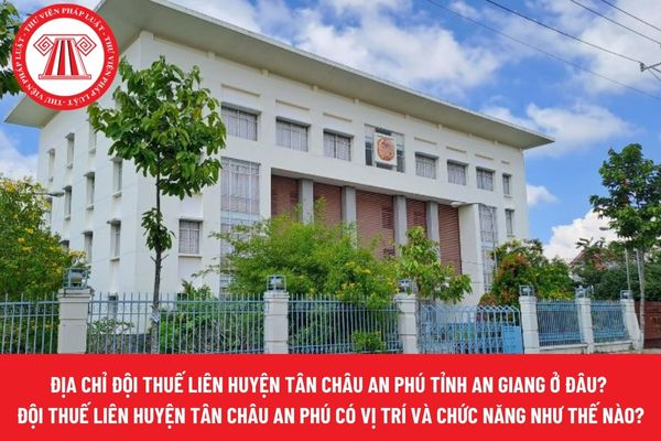 Pháp luật