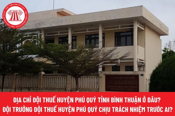 Pháp luật