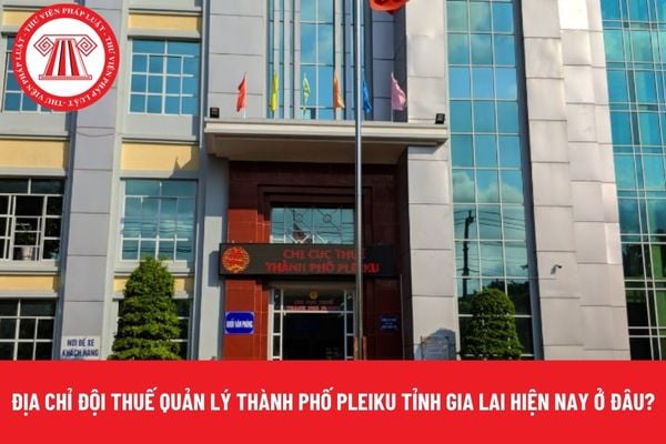 Pháp luật