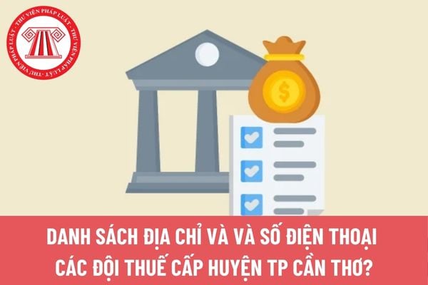 Pháp luật