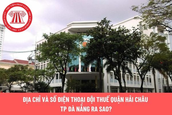 Pháp luật
