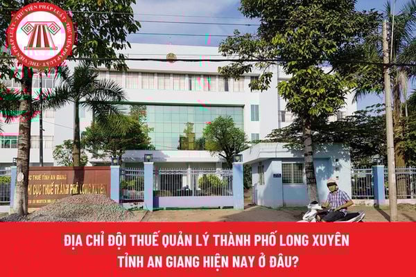 Pháp luật