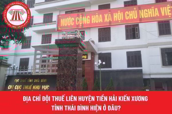 Pháp luật