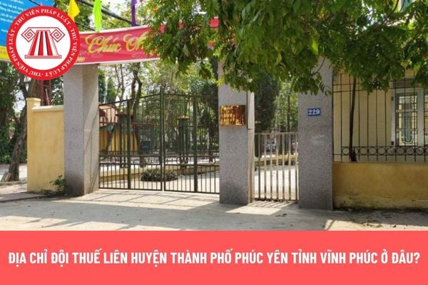 Pháp luật