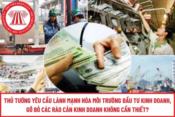Pháp luật