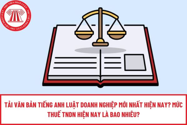 Pháp luật