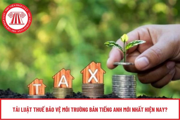 Pháp luật