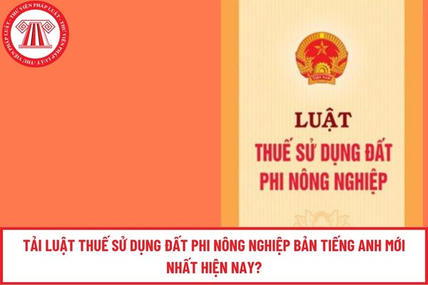 Pháp luật