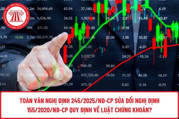 Pháp luật