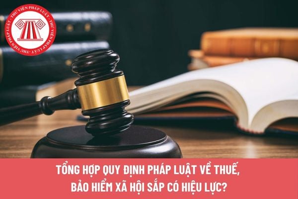 Pháp luật
