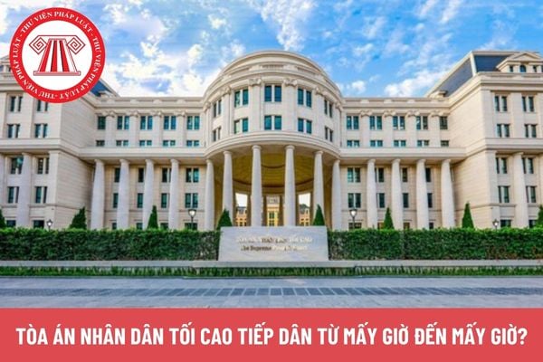 Pháp luật