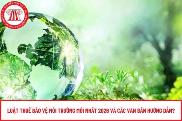 Pháp luật