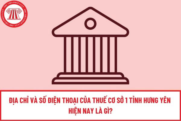 Pháp luật