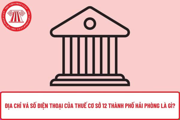 Pháp luật