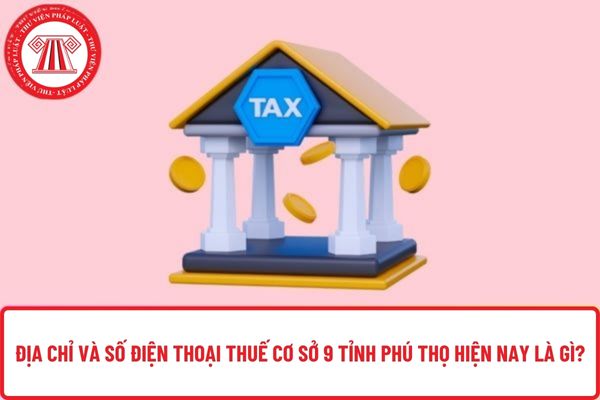 Pháp luật