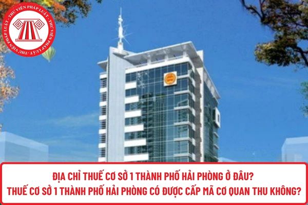 Pháp luật