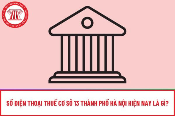 Pháp luật