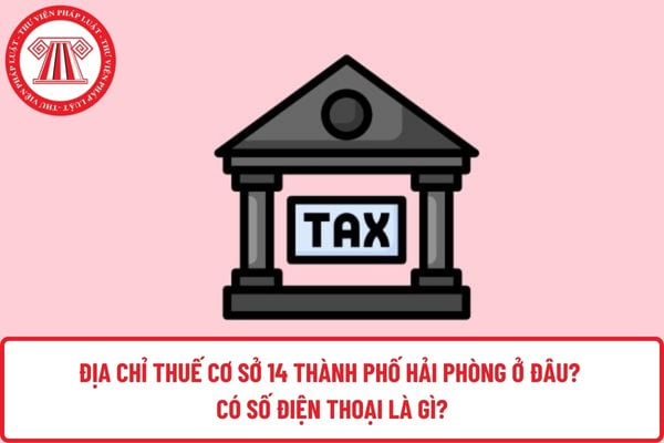 Pháp luật