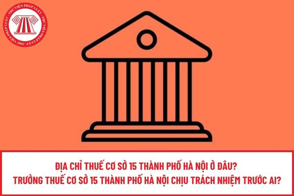 Pháp luật