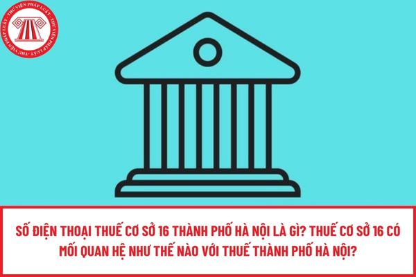 Pháp luật