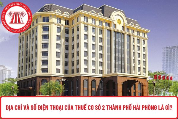 Pháp luật