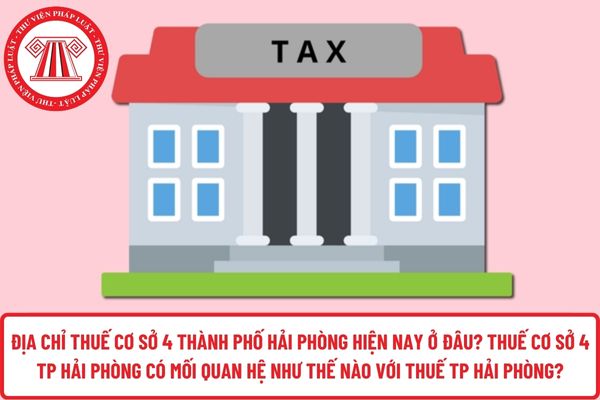 Pháp luật