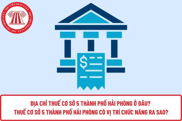 Pháp luật
